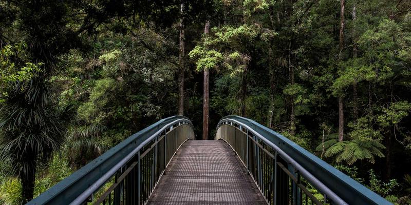 Erin Rizzo5：在个人博客中探索现代健康生活，找到属于你的平衡之道