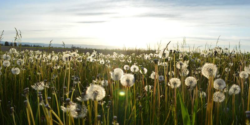 Erin Rizzo优势:重新定义现代生活中的健康与生活方式