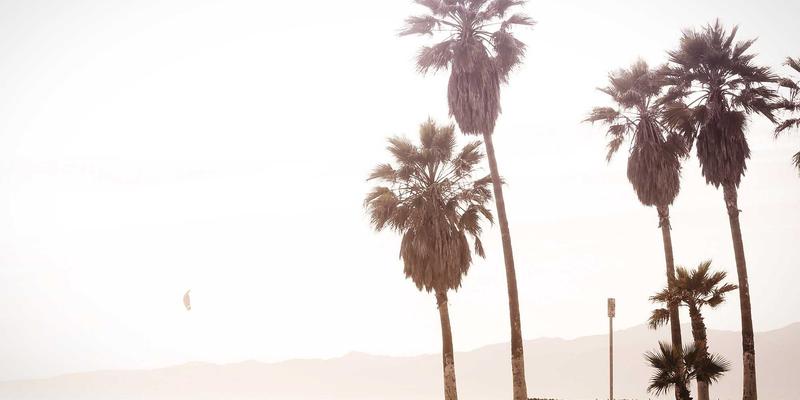 Erin Rizzo入门：解锁专业发展与高效生产力的核心策略