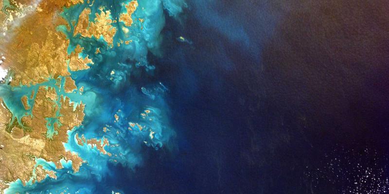 Erin Rizzo如何通过健康与专业发展项目提升团队生产力