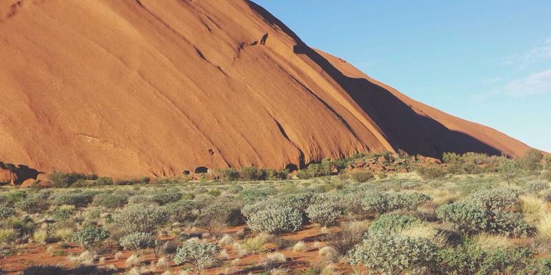 Erin Rizzo的决策简化策略：减少决策疲劳，释放创造力与生产力