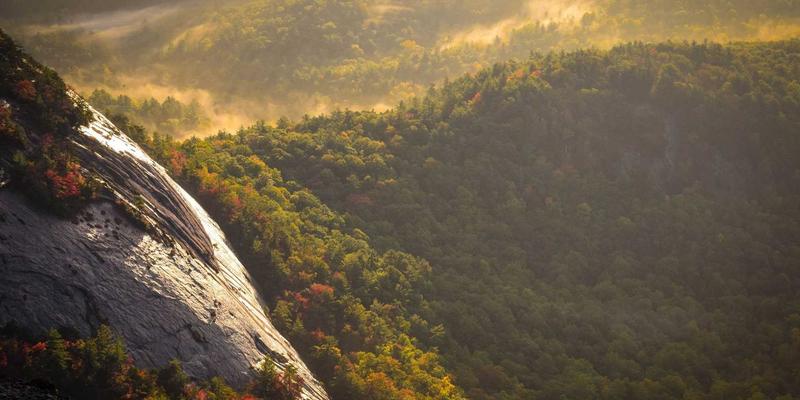 Erin Rizzo的可持续生产力哲学：在个人博客中融合效率与健康，告别Burnout