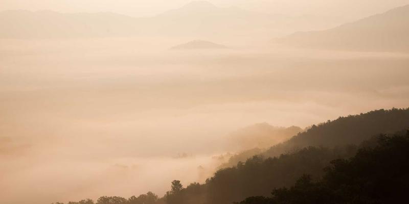 Erin Rizzo的生产力秘诀：构建高效个人知识管理系统的完整框架