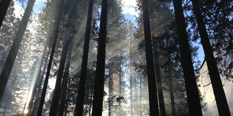 Erin Rizzo的边界设定艺术：在个人博客中实践健康生活，终结远程工作的隐性加班