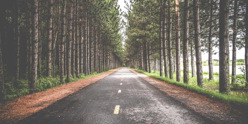 Erin Rizzo进阶:在生活博客与职业发展中寻找平衡与成长