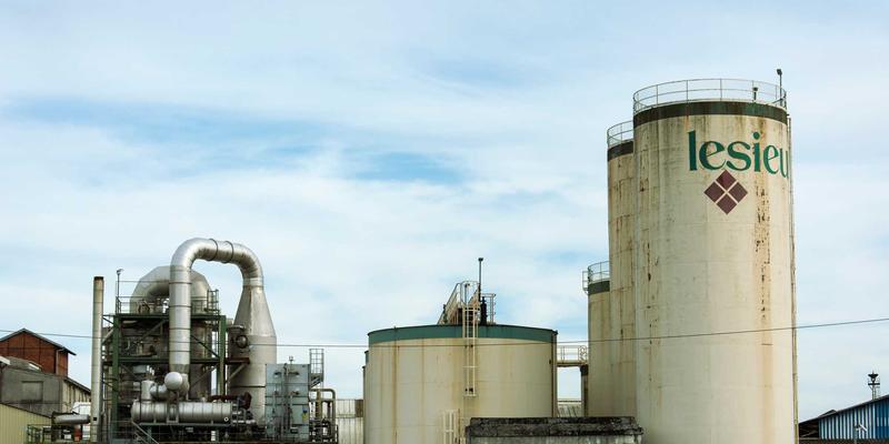 专访Erin Rizzo：提升生产力与职业发展的核心——创业者如何锻造心理韧性