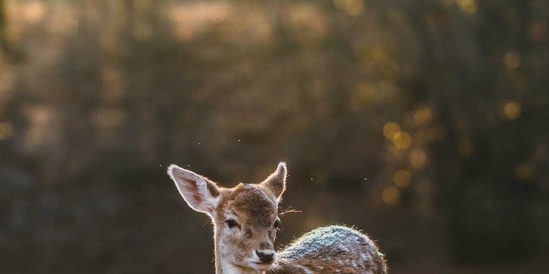 从Erin Rizzo的视角看工具选择哲学：为何更少即是更多，实现真正的职业发展与高效能