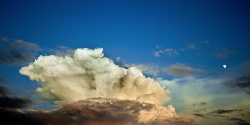 从Wellness到高效产出：Erin Rizzo如何用系统化思维构建个人知识管理体系