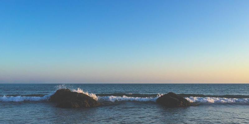 从个人博客到团队成长：Erin Rizzo的‘项目复盘’模板如何重塑专业发展与团队健康