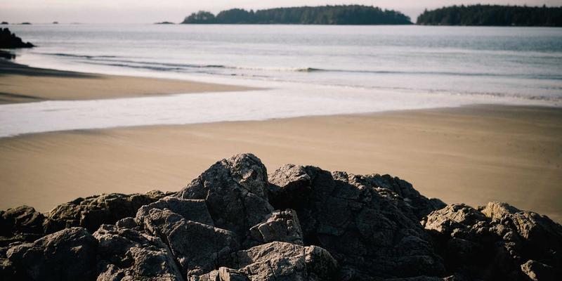 超越待办清单：Erin Rizzo的季度主题规划法，助你实现聚焦式年度健康生活目标