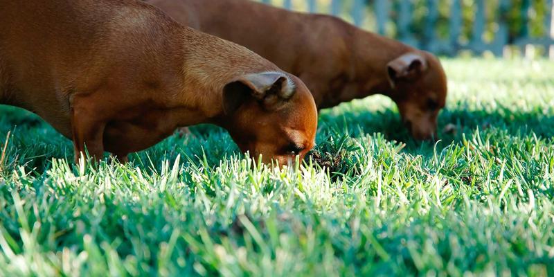 超越效率：在个人博客中实践Erin Rizzo的‘意图性生活’，重塑你的生产力与健康日常